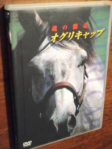 ◎DVD　「魂の激走　オグリキャップ」出走全レース・ノーカット収録　成績表付き　競馬　サラブレッド　武豊　河内洋