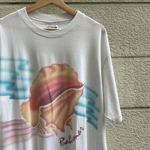 80s 90s USA製 白 プリントTシャツ 半袖Tシャツ エアブラシ プリント Hanes ヘインズ アメリカ製 古着 vintage ヴィンテージ XXLサイズ