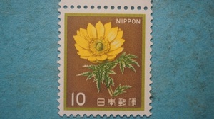 動植物国宝図案切手　福寿草　１０円　未使用NH美品　　　