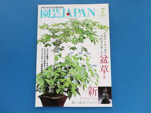 園芸JAPAN 2019年7月号/特集:山野草と木で創る自然景を楽しむ盆草Ⅱ/新しい試みにチャレンジ新テラリウム/春蘭フウランセッコクイベント他