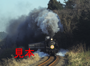 鉄道写真、645ネガデータ、138674210009、C11-325＋50系＋2004賀正ヘッドマーク、真岡鐵道、茂木～天矢場、2004.01.03、（3906×2860）