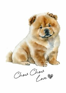 ポストカード【 Chow Chow / チャウチャウ 】イラスト アート 水彩画風 パステルカラー はがき -2