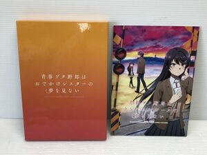 N169-240430-53 青春ブタ野郎はランドセルガールの夢を見ない+おでかけシスターの夢を見ない セット 【中古品】