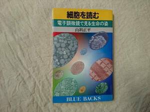 細胞を読む ブルーバックス 山科正平 a565