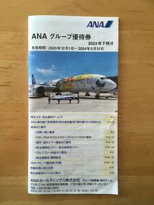 ANA グループ優待券 冊子のみ 未使用　有効期限　2024年5月31日まで　送料無料（普通郵便）