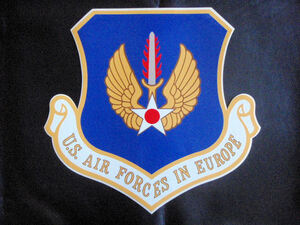 F144★アメリカ空軍U.S.AIR　FORCES　IN　EUROPE(在欧アメリカ空軍)ステッカー/USAF米空軍アビエーター/世田谷ベース＆デイトナDAYTONA
