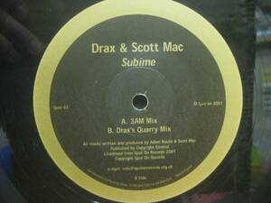 DRAX & SCOTT MAC / SUBLIME ◆X721NO◆12インチ