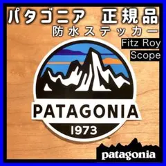 【正規品】パタゴニア 防水ステッカー Patagonia 【FRS/ B ㉝】