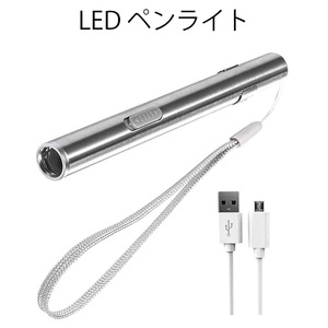 ハンディライト ペンライト USBケーブル付き LED 白光