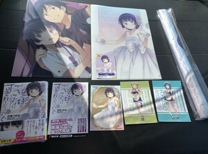 21年3月新刊★俺の妹がこんなに可愛いわけがない16巻+5店舗特典+メロンブックス限定版タペストリー+10th Anniversary ブロマイド2種/検17巻