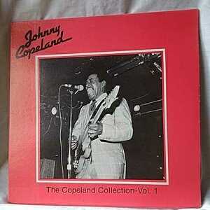 ■ JOHNNY COPELAND 