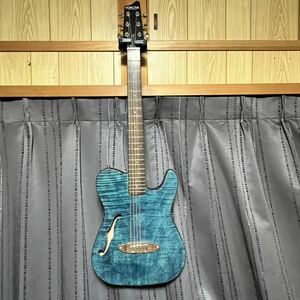 SCHECTER（シェクター） JOL series OL-FL-N-P テレアコースティック