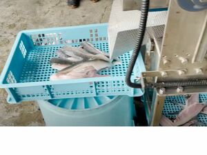 フィレマシン　まり式魚類自動処理機　割截機　HN-F型　旭マシン