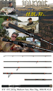 MEGABASS VALKYRIE World Expedition Multi VKS-88-96MH-5.5