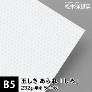 玉しき あられ しろ 232g/平米 B5サイズ：500枚 和紙 和風 素材 印刷紙 印刷用紙 和柄 模様 色紙 いろがみ