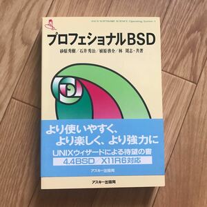 プロフェッショナルBSD 砂原秀樹, 石井秀治, 植原啓介, 林周志 共著 第1版第11刷