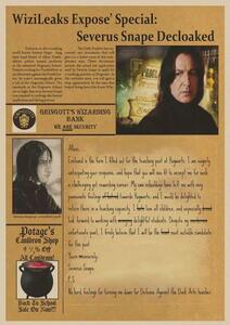 【匿名配送&補償付き】Harry Potter Severus Snape Poster / ハリーポッター セブルス・スネイプ ポスター