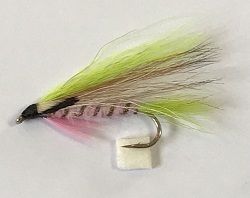Little rainbow trout #10 12個 