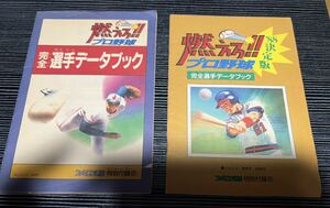 ファミコン通信付録冊子 燃えろプロ野球完全選手データブック 2冊セット