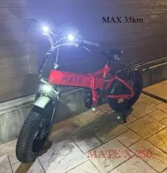 数量限定カラー MATE X リミッター解除済 MAX40km スロットルお渡し