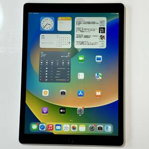 Apple iPad Pro (12.9インチ) スペースグレイ 256GB ML0T2J/A Wi-Fiモデル iOS16.7.7 アクティベーションロック解除済