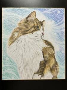 【手描きイラスト】ノルウェージャンフォレストキャット　猫　色鉛筆画　色紙