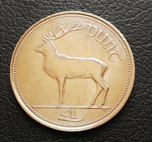 アイルランド １ポンド 1990年 古銭 硬貨 海外コイン b2735