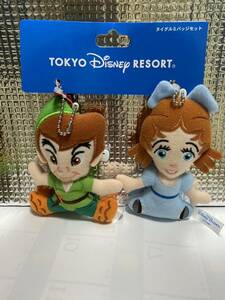 ピーターパン＆ウェンディー　ヌイグルミバッジセット　TDR ぬいば　ディズニー