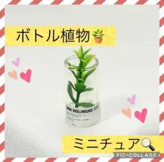 【新品未使用】ミニチュアサイズ 植物ガラス グリーン おもちゃドールハウス