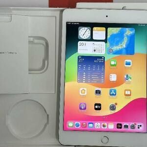 iPad mini 第5世代 64GB Wi-Fiモデル バッテリー85% 極美品[]