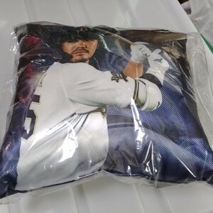 送料無料　プロ野球　オリックス・バファローズ 　T-岡田(岡田貴弘)#55　選手クッション　新品