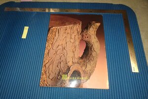 rarebookkyoto F8B-806　宜興茶壺精品録　台北・歴史博物館　宜興紫砂　1989年　写真が歴史である