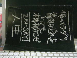 ZIN-SAY 人生 / 俺のカラダの筋肉はどれをとっても機械だぜ 42ページブック 石野卓球 ピエール瀧 林直人 カムラ ゲロゲリゲゲゲ 三柴江戸蔵