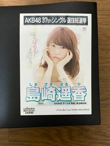 AKB48 島崎遥香 写真 劇場盤 AKB ラブラドール レトリバー