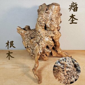 杢瘤 欅? 楡? 希少 天然木 瘤杢目 飾木 ウッド 観賞木 床の間飾り 古道具 置物 逸品 インテリア アンティーク 花台 オブジェ 【140z265】