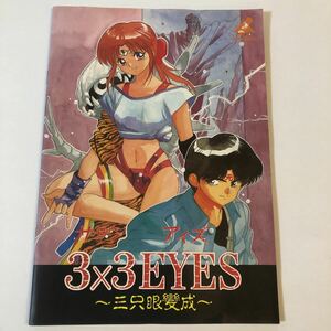 中古本　3x3EYES ～三只眼變成～　サザンアイズ　PCゲーム　PC9801 ユーザーマニュアル　取説のみ　ソフトなし　日本クリエイト　高田裕三