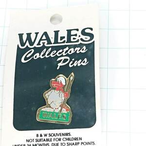 送料無料)未使用 ウェールズ 恐竜 旅行記念 ウェールズ輸入アンティーク ピンバッジ PINS ピンズ A06165