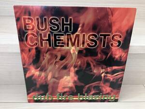 New Roots Dub The Bush Chemists Dub Fire Blazing Dub head Jah Shaka