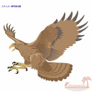 鳥のステッカー　リアルタッチ　イヌワシ