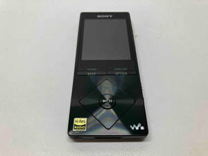 SONY ソニー NW-A17 ウォークマン NW-A17 (64GB) WALKMAN