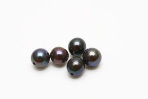 アコヤ真珠パールルース　両穴　5ピース　5.0-5.5mm　ブラックカラー