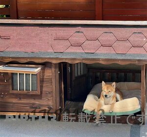 人気★ 極上★高品質★ドッグハウス 室外 ドアと窓付きの犬用犬小屋 ホームタウン ドッグハウス テラス 屋外 木製 大型犬用 XL 犬小屋