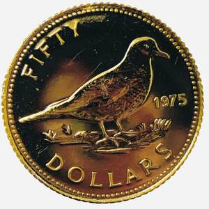 バハマ 50ドル金貨 金位900 1975年 2.7g イエローゴールド コイン GOLD コレクション 美品