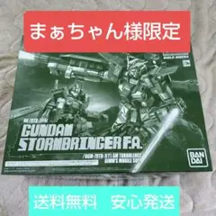 MG 1/100 ガンダムストームブリンガー F.A.フェイタル・アッシュ ジ…