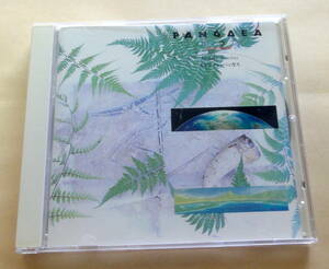 Stephen Bacchus / Pangaea パンゲア 太初の大陸伝説 CD ヒーリング ニューエイジ New Age Gamelan Ambient