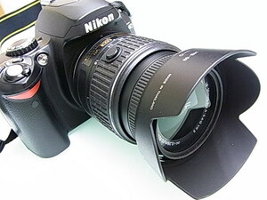 Nikon D40 + Nikon AF-S DX NIKKOR 18mm~55mm f3.5~5.6 GⅡ ED VRⅡ＜極上品＞