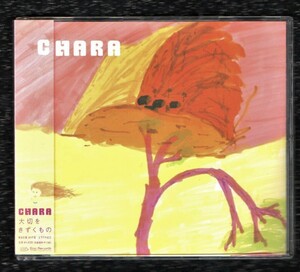 Ω チャラ CHARA キリン午後の紅茶 CMソング 2000年 マキシ CD/大切をきずくもの/月と甘い涙(remix version)収録