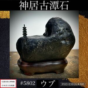 【信濃美術石博物館】水石 盆栽 神居古潭石 ウブ 土坡形 横12×高11(cm) 980g骨董盆石古美術鑑賞石観賞石太湖石中国古玩 5802