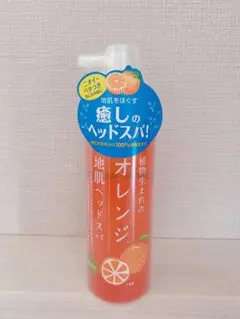 【新品・未開封】石澤研究所 植物生まれのオレンジ地肌ヘッドスパ