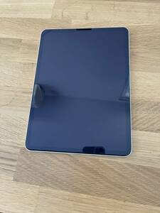 【ジャンク品】　ipad pro 第一世代　シルバー　256GB Wifi Celluer